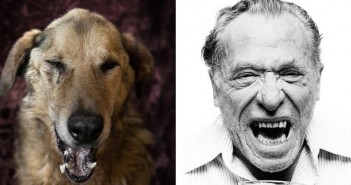 Cachorro ou escritor? charles-bukowski-dog