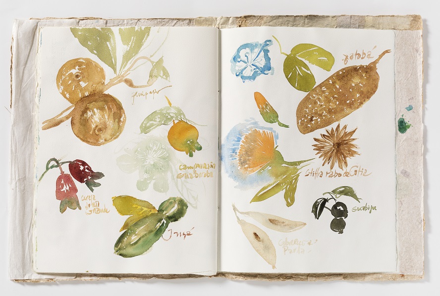 Exposição-Caderno: Villa-Lobos 2015/2017, Rubens Matuck