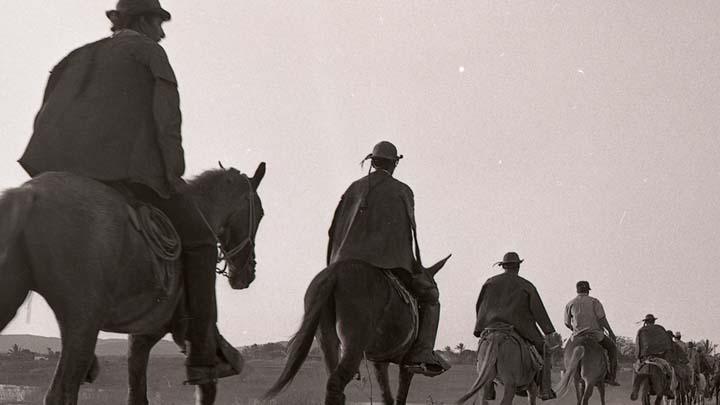 Mostra “A Força do Documentário Brasileiro” – Aboio