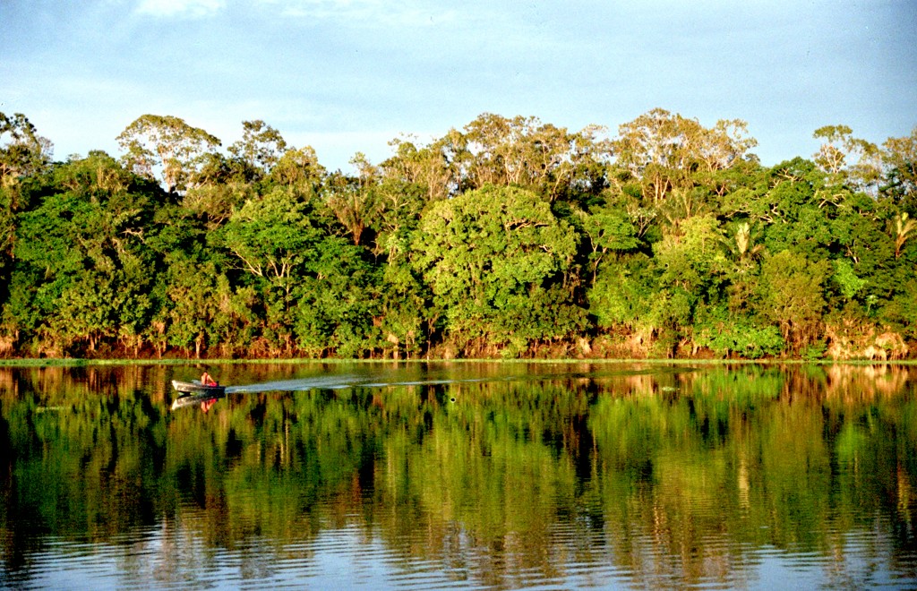 Amazônia. Foto: CC by 2.0/ Andre Deak